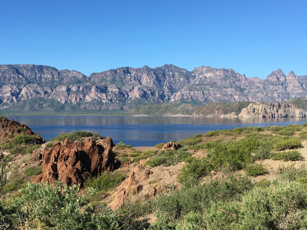 Rocky canyon stream lined with palm trees on a Loreto hiking trail