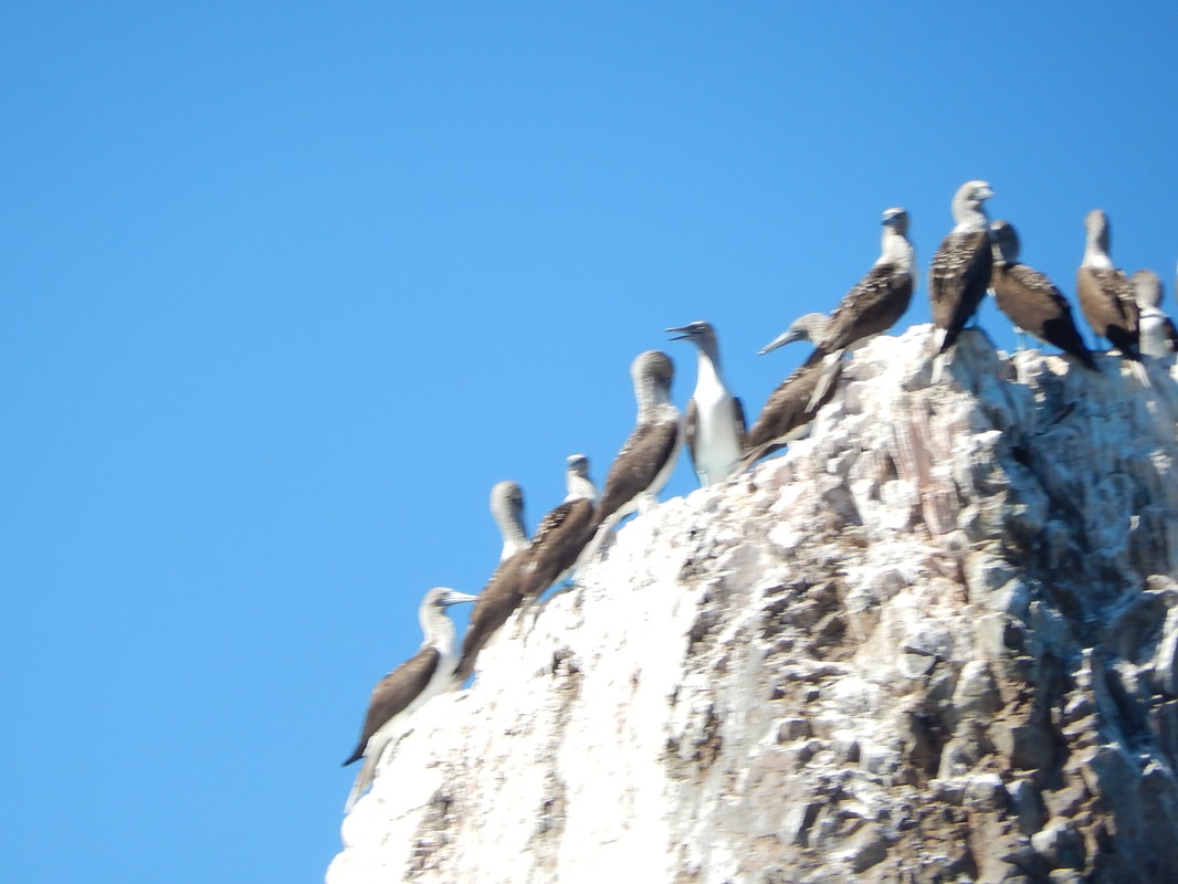 Dramatic desert rock columns and formations on a Loreto sierra hiking trail