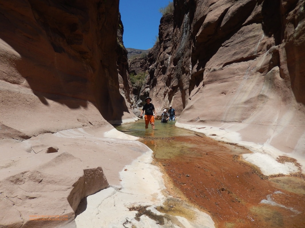 Group of eight hikers smiling together at a canyon trailhead near Loreto