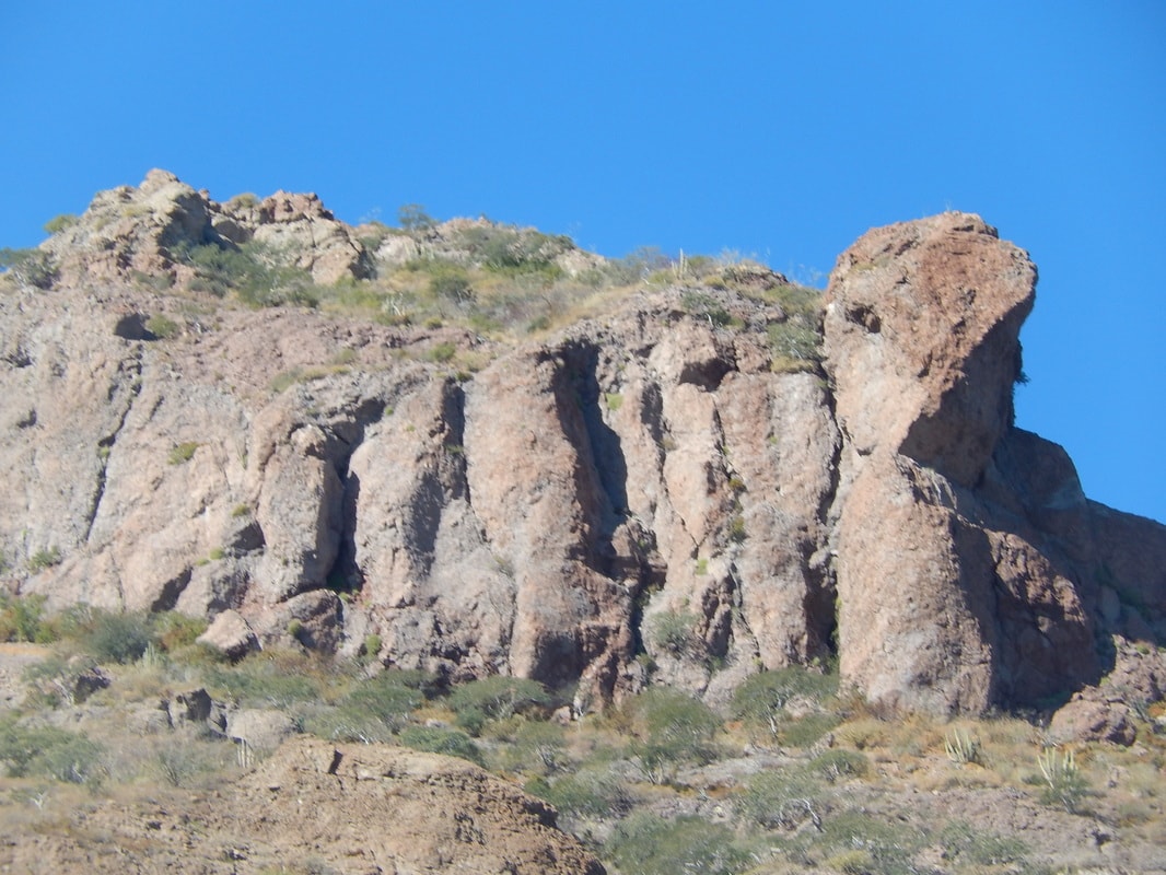 Towering sandy-colored canyon rock face with sparse desert trees in the Loreto sierra