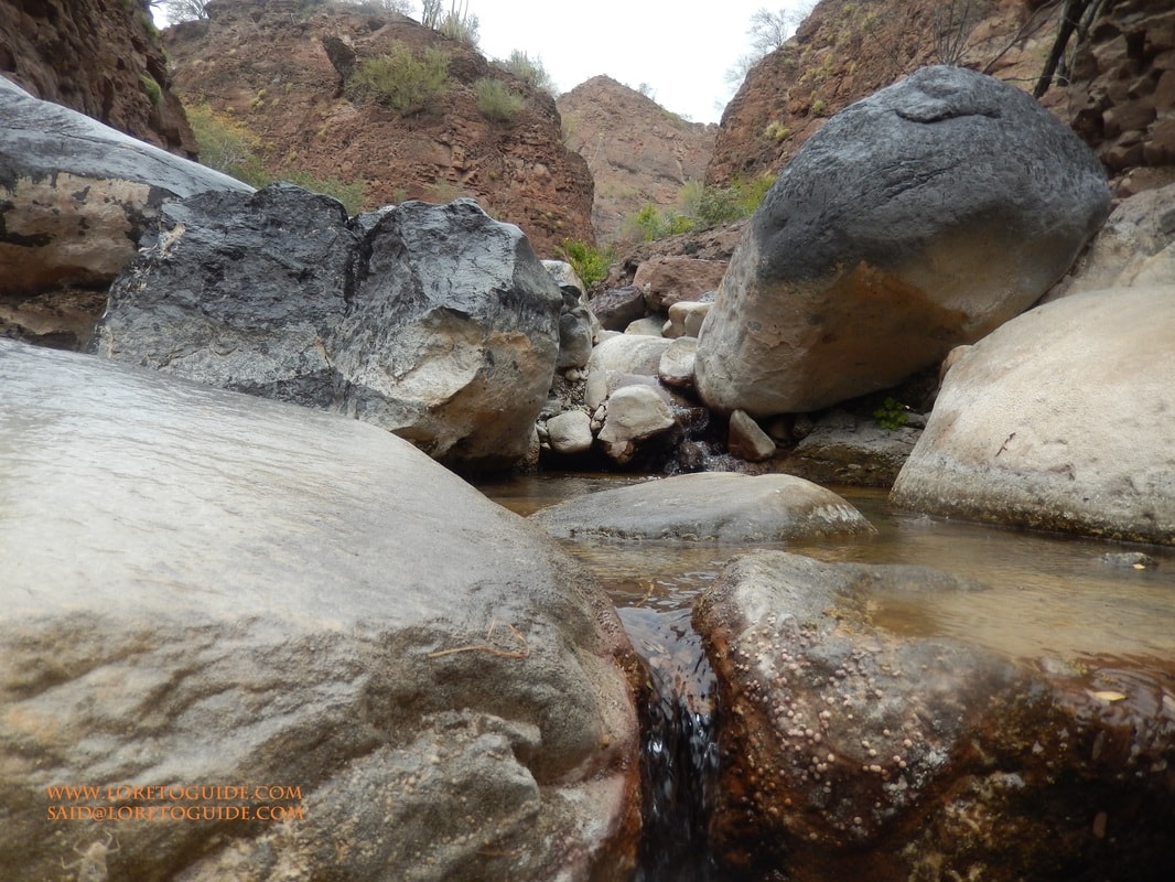 Hiker sliding down a natural water chute on a canyon hike near Loreto
