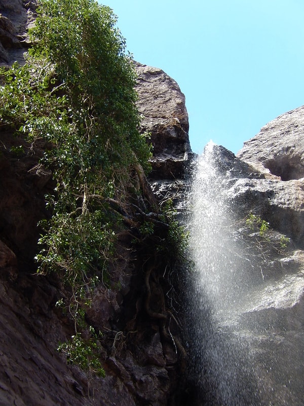 Dramatic waterfall shooting through a narrow rock cleft with green canyon vegetation