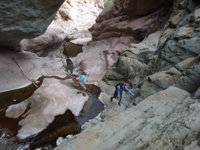 Waterfall cascading into a canyon pool with saguaro cactus on the ridge above Loreto