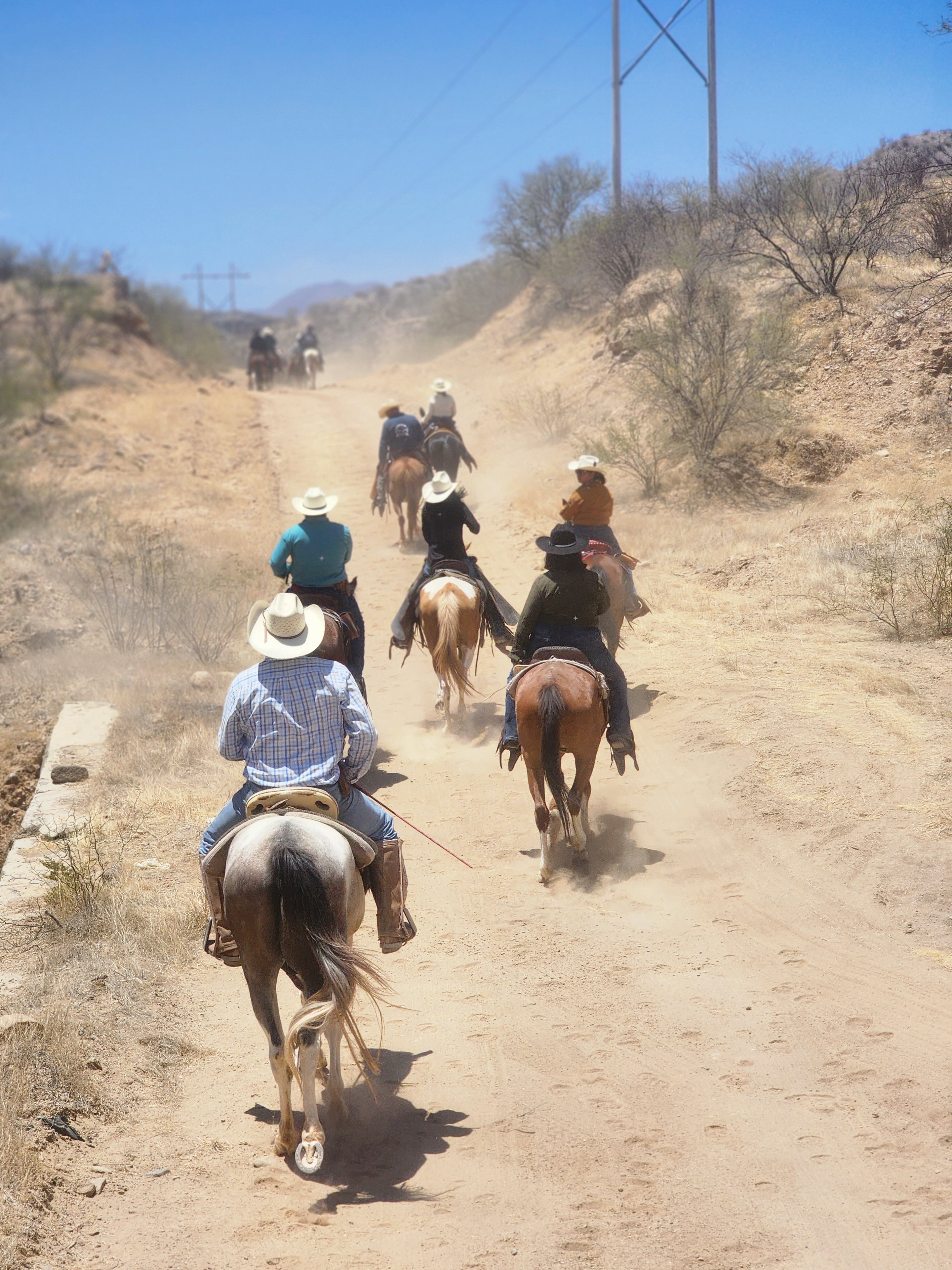 Horses and riders on a scenic trail near Loreto, Baja California Sur