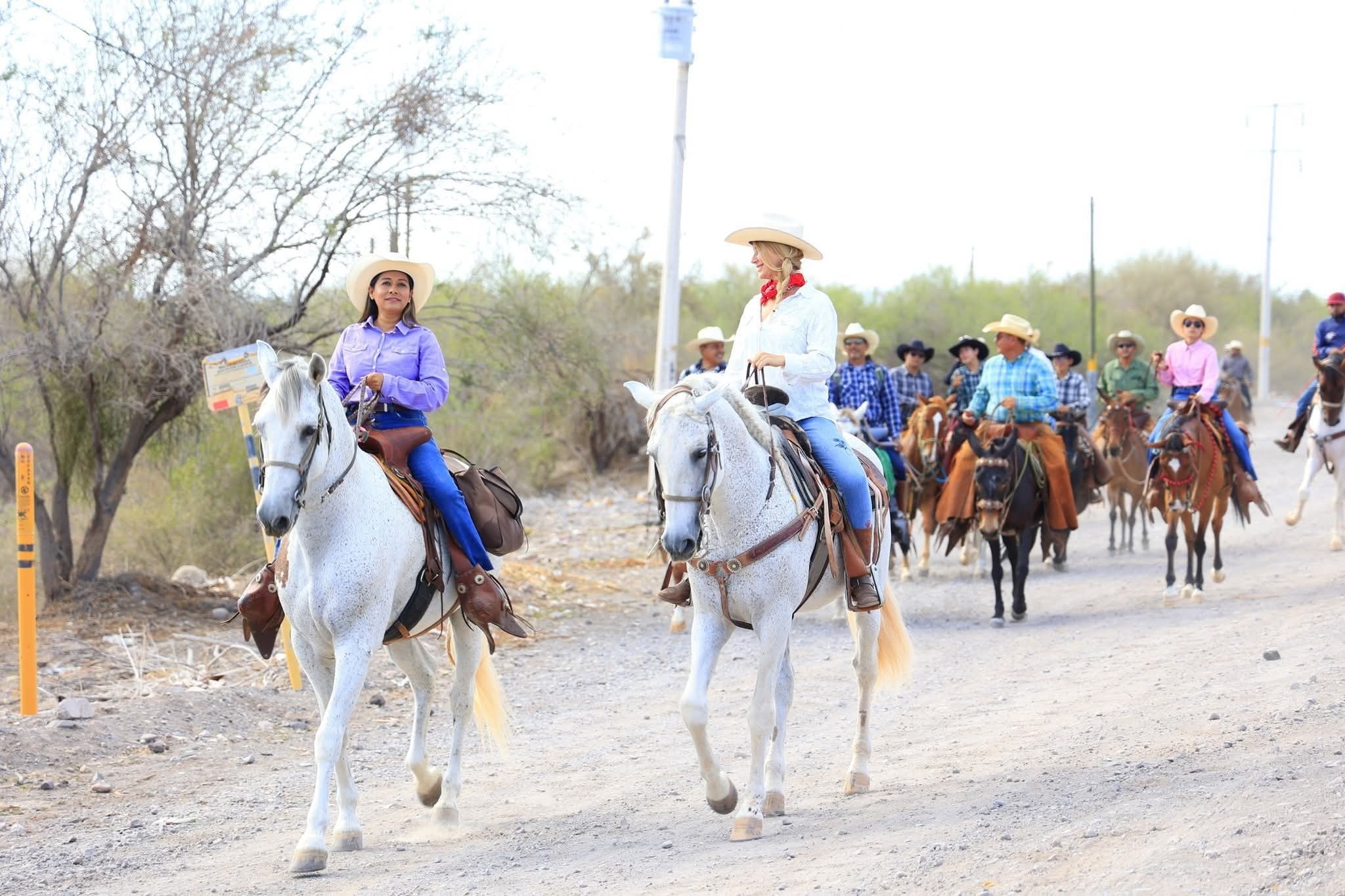 Guided horseback tour through the Baja California Sur landscape near Loreto