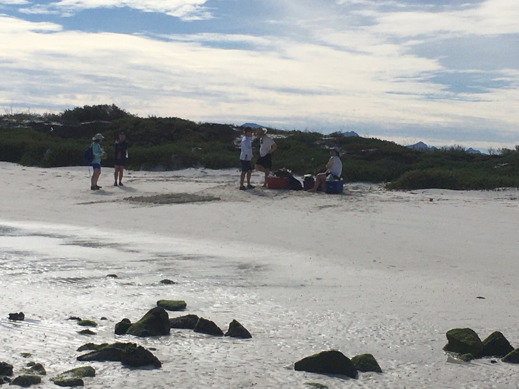 Group of five visitors gathered on a wide white sand flat with moss-covered rocks and green dunes under a dramatic overcast sky on a Loreto island tour