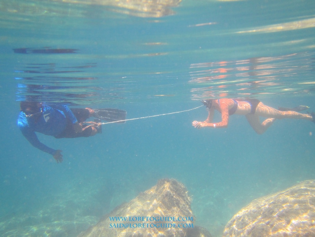 Guide and guest snorkeling together underwater connected by a rope in crystal-clear Gulf of California water