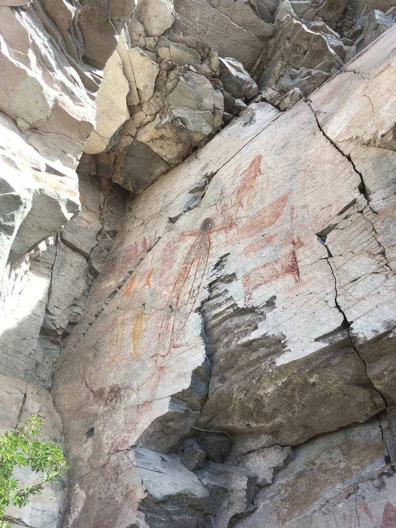 Cave paintings detail