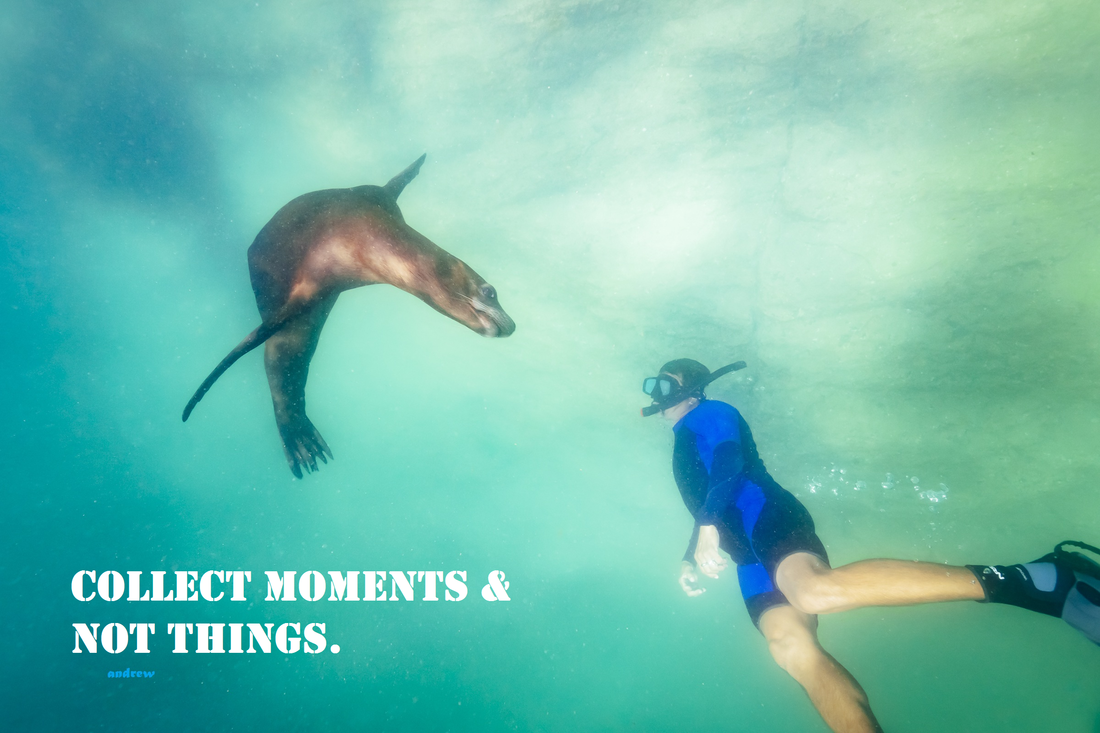 Said snorkeling face to face with a sea lion in the Gulf of California